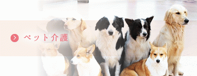 ペット介護
